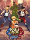 ภาพปก Double Dragon Gaiden: Rise of the Dragons